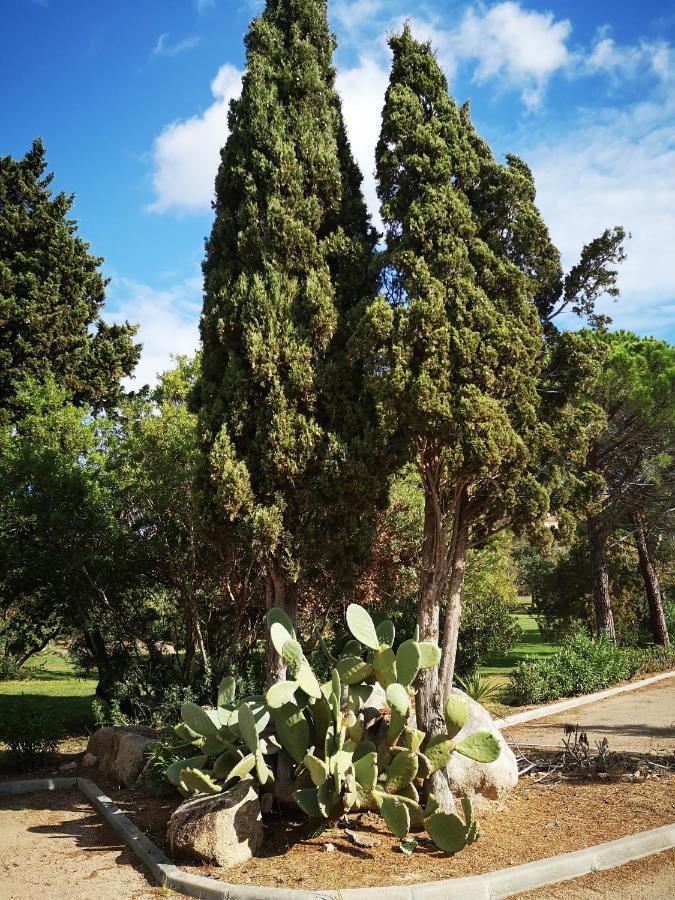 Residence Cala Sultana -Baie Santa Giulia - Rez Jardin 1Ere Ligne 포르토베쉬오 외부 사진