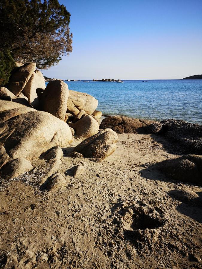 Residence Cala Sultana -Baie Santa Giulia - Rez Jardin 1Ere Ligne 포르토베쉬오 외부 사진